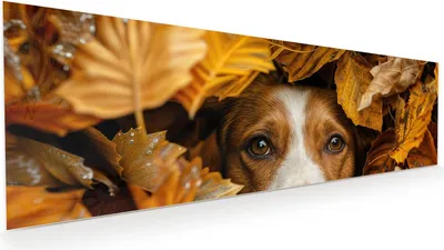 Produktbild von Glasbild 120x40cm in XXL für Wohnzimmer, Schlafzimmer Motiv Hund im Herbstlaub