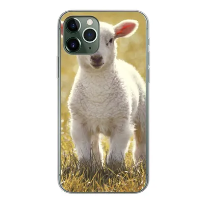 Produktbild von MuchoWow® Handyhülle Schutzhülle Hülle für iPhone 11 Pro Schafe - Gras - Sonne Silikon Softcase Handy Hülle - Handy