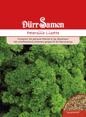 Produktbild von Petersilie Lisette | Petersiliensamen von Dürr Samen