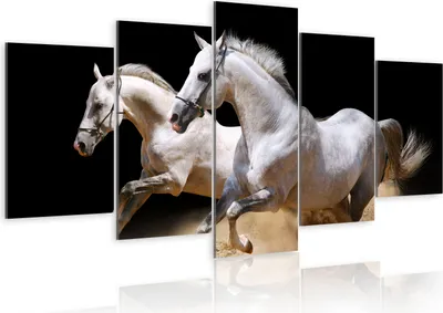 Produktbild von Modernes Wandbild 030216- 6 (100x50) - 5 Teilig Bilder Fotografie auf Vlies Leinwand Foto Bild Dekoration Wand Bilder Kunstdruck Natur