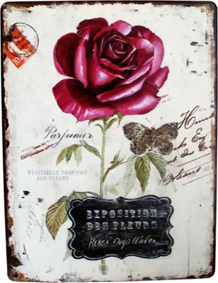 Produktbild von Shabby Blechschild Nostalgie Rose