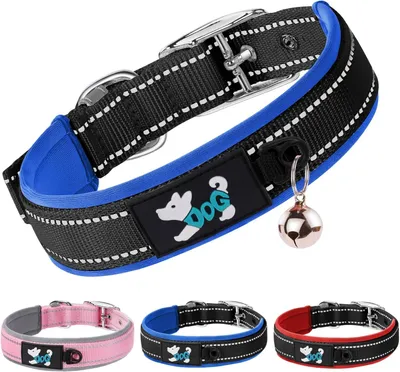 Produktbild von Reflektierendes Nylon Hundehalsband, Verstellbar, Neopren Futter, Langlebig, Für Spaziergänge
