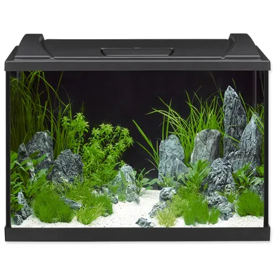 Image de Kit aquarium EHEIM aquaproLED 84 avec éclairage LED, filtre, chauffage, thermomètre, épuisette sans meuble noir env. 84 L 60 x 40 x 35 cm