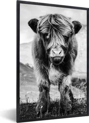 Produktbild von MuchoWow® Gerahmtes Poster Schottischer Highlander - Berg - Schwarz - Weiß 60x90 cm - Poster mit Schwarzem Bilderrahmen Wandposter Rahmen Foto Bilder - Kunst