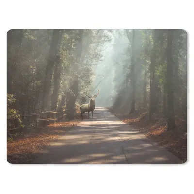 Produktbild von MuchoWow® Mauspad Mousepad Hirsche - Wald - Sonnenstrahlen 23x19 cm - Mousepads - Maus Mat - Pad - Mausunterlage - Schreibtischunterlage - Mauspad