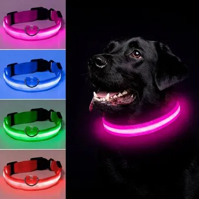 Produktbild von LED-Hundehalsband – Größe S – Über USB aufladbar – 100 % wasserdicht – Rosa – Halsband mit Beleuchtung – 3 verschiedene Modi – Leuchtendes Hundehalsband – Superhelles Licht – Für Haustiere