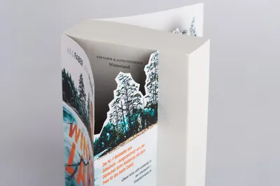 Image de Winterland