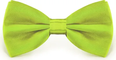 Obrázok produktu pre Motýlik v odtieni moosgrün, nastaviteľná veľkosť, z polyesteru, jednofarebný, úzky, 12 cm