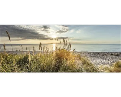 Produktbild von Glasbild Wilder Strand I 125x50 cm