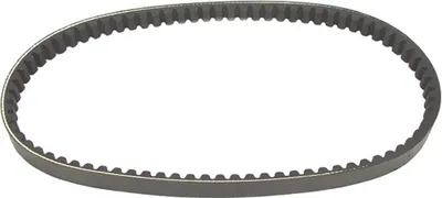 Productafbeelding van Bando Standaard 17,9 x 782 mm variateurriem, kleur zilver. Eén maat