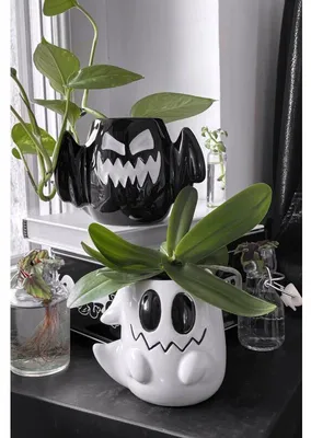 Image de KILLSTAR Set de pots de fleurs - Boo Eek