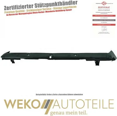 Produktbild von Zier Schutzleiste Stoßstange vorne DIEDERICHS 6090062