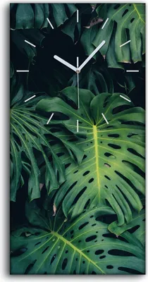 Produktbild von Wandkunst Leinwand Bild Uhr Geräuschlos Kunstdruck 30x60 Blumen Monstera Blatt - weiße Hände