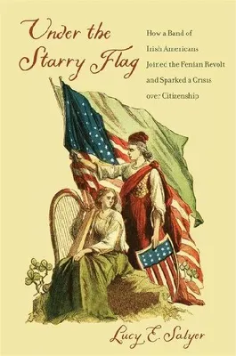 Produktbild von Under the Starry Flag