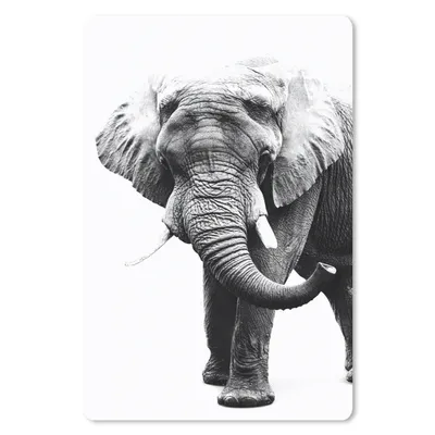 Produktbild von MuchoWow® Mauspad Mousepad Elefant vor weißem Hintergrund - schwarz und weiß 18x27 cm - Mousepads - Maus Mat - Pad - Mausunterlage