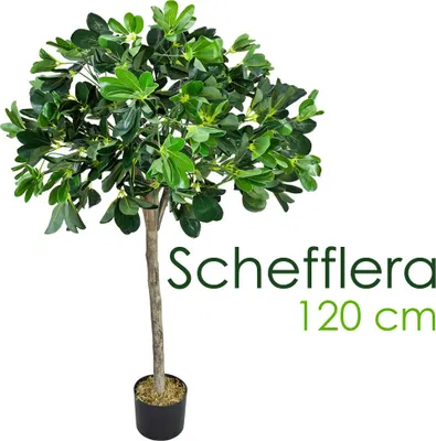 Immagine prodotto di Schefflera Arboricola Pianta Albero Artificiale Plastica 120cm con Legno Naturale Decovego