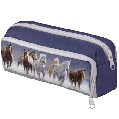 Productafbeelding van Pennentas, 3 vakken, kleurrijke pennenetui, etui voor scholieren, pennenmap met ritsen, netzakken en elastiek, pennenhouder, paarden [152]