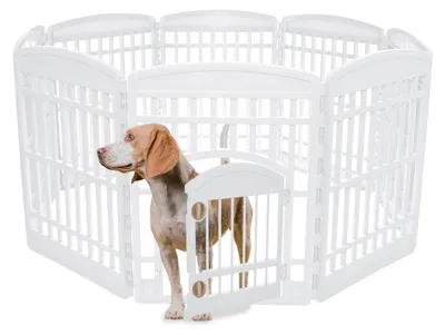 Immagine prodotto di Recinto per cuccioli Iris Ohyama con 8 pannelli e porta con serratura, altezza 90 cm, bianco. Adatto per gatti, cani, da utilizzare sia all'esterno che all'interno. Recinto per cuccioli, recinto per cani, recinto per cuccioli, recinto per cani, modello CI-908