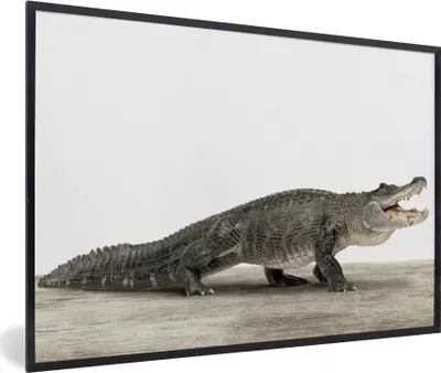 Produktbild von MuchoWow® Gerahmtes Poster Kinder - Krokodil - Junge - Kinder - Mädchen 90x60 cm - Poster mit Schwarzem Bilderrahmen Wandposter Rahmen Foto Bilder - Fotorahmen - Foto-Plakat