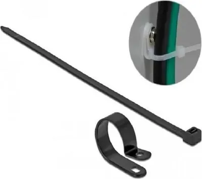 Image de DELOCK Befestigungsschelle 25,4 mm mit KBI 300x7,2mm schwarz