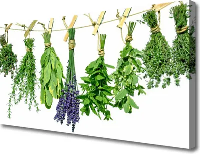 Produktbild von Tulup Leinwand-Bilder 100x50 Wandbild Canvas Kunstdruck Blumen Blätter Pflanzen