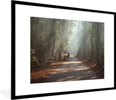 Produktbild von MuchoWow® Gerahmtes Poster Hirsche - Wald - Sonnenstrahlen 80x60 cm - Poster mit Schwarzem Bilderrahmen Wandposter Rahmen Foto Bilder - Schlafzimmer-Dekorationen - Fotoposter