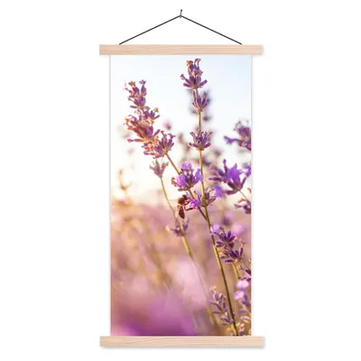 Produktbild von MuchoWow® Textilposter Lavendel - Nahaufnahme - Sonne - Blumen - Lila 40x80 cm mit holzfarbenen Rahmen - Wohnzimmer