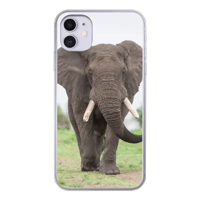 Produktbild von MuchoWow® Handyhülle Schutzhülle Hülle für iPhone 11 Elefant - Tiere - Gras - Natur Silikon Softcase Handy Hülle - Handytasche