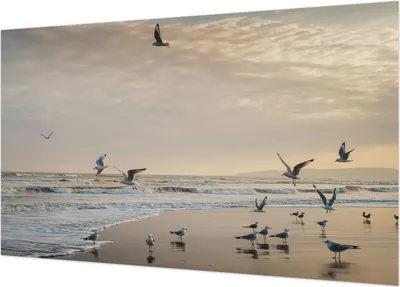 Produktbild von Fototapete - Wandbilder für Wohnzimmer - 416x254 - Dekorative Wandfolie - Modernes Design für Wanddekoration - Tapeten für Innenräume - Ruhe am Meer
