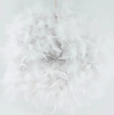 Produktbild von Federkranz Dekokranz FEDERN weiß D. 35-40cm CreaFlor Home
