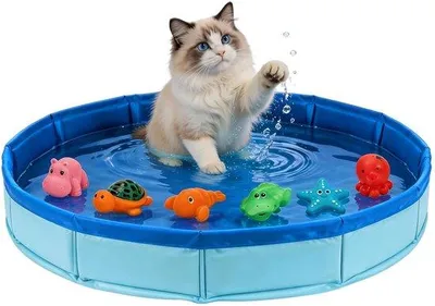 Produktbild von Katzenpool, 50 x 10 cm, faltbarer Katzenpool mit Spielzeug, inklusive 6 Schwimmspielzeugen, Mini-Pool für Katzen und Hunde, tragbarer Pool, Hundebadewanne, faltbar, geeignet für kleine Hunde