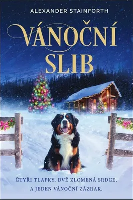 Image de Vánoční slib