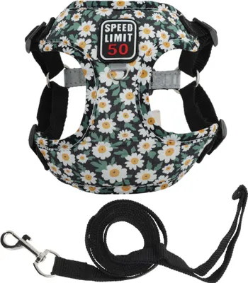 Produktbild von Hundegeschirr und Leinenset für Welpen mit reflektierenden Streifen, verstellbares Hundegeschirr für Spaziergänge, Hundegeschirr für kleine und mittlere Hunde Katzen, S, Schwarz