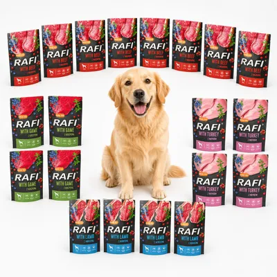 Produktbild von RAFI Dolina Noteci Nassfutter für Hunde 20x500 g Set MIX DER GESCHMACKSRICHTUNGEN 10 kg, 4x Wild, 4x Lamm, 4x Pute, 8x Rind | Hunde-Nassfutter