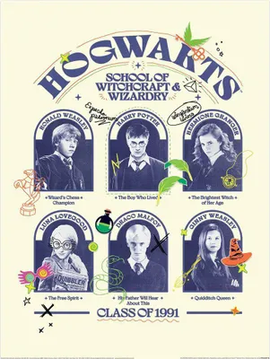 Produktbild von Harry Potter - bedruckt "Class Of 1991", Informationstafel PM9026 (40 cm x 30 cm) (Blau)