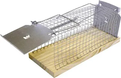 Image de SuperCat Piège vivant Cage à rats carrée