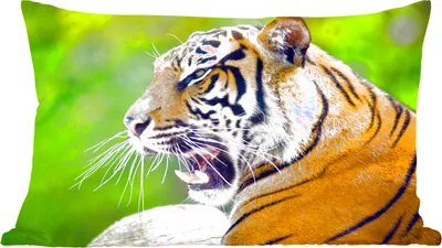 Produktbild von MuchoWow® Zierkissen Sofakissen Wohnzimmer Dekokissen 50x30 cm Tiger - Natur - Kopf - Wohnzimmerdekoration - Polster mit Photo