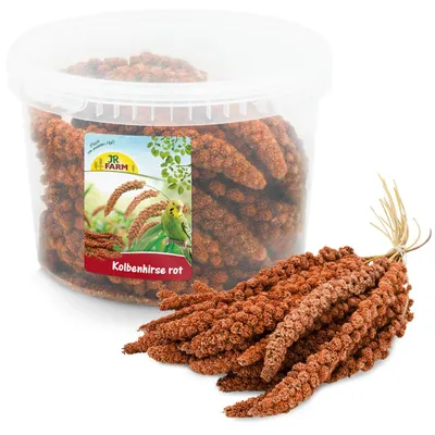 Productafbeelding van JR Farm Kolbenhirse, verpakt in een emmer, 500 gram