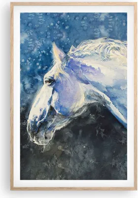 Produktbild von Gerahmtes Poster - Rahmen in heller Eiche - Pferd Aquarell Porträt - 61x91,5 cm - Wand Bild - Wanddeko - Wandbilder - Wandposter - Bilderrahmen - Bilder - Kunstdruck - Wandbild - P2NPA61x91-4272