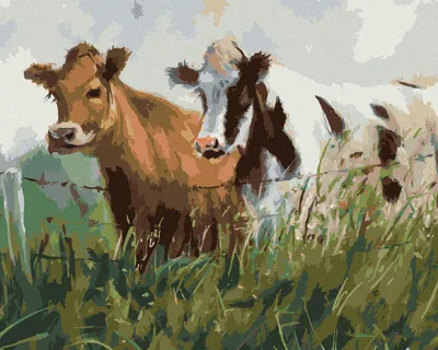 Image de Zuty - Peinture par numéros - DEUX VACHES DANS UN ENCLOS, 40 x 50 cm, sans cadre et sans toile tendue