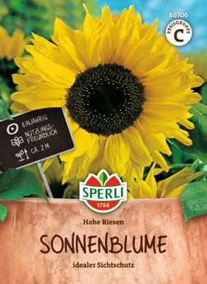 Produktbild von SPERLI Sonnenblumensamen Hohe Riesen Helianthus annuus 25 Pflanzen