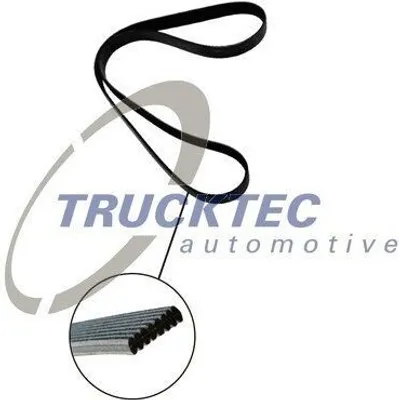 Produktbild von TRUCKTEC AUTOMOTIVE Keilrippenriemen 1195mm für VW Golf IV Schrägheck (1J1) 07.19.135