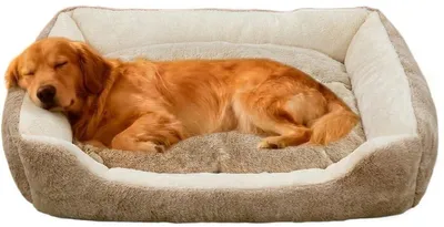 Imagen del producto de Cama ortopédica para perros, grande, 100 x 70 cm