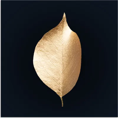 Produktbild von MuchoWow® Poster Blätter - Gold - Schwarz - Pflanzen - Luxus 50x50 cm - Wohnzimmerdekoration