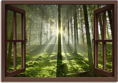 Produktbild von ARTland Leinwandbild Fensterblick - Wald im Gegenlicht, braun Größe: 70x50 cm