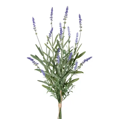 Produktbild von CREATIV green künstlicher Lavendelbund 48cm zum dekorieren in der Vase, mediterrane Kunstpflanzendeko, künstlicher Lavendel