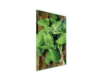 Image de Planche à découper en verre 35x52 Basilic