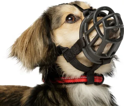 Immagine prodotto di Baskerville - Museruola per cani "Ultra" TL5578 (4) (nero)