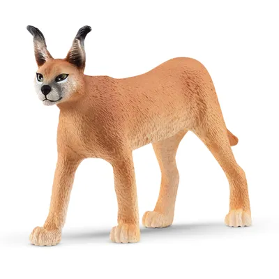 Obrázek produktu pro schleich WILD LIFE 14867, 3 rok/roky, Safari, Wild animals / adventure toys, Hnědá, Plast