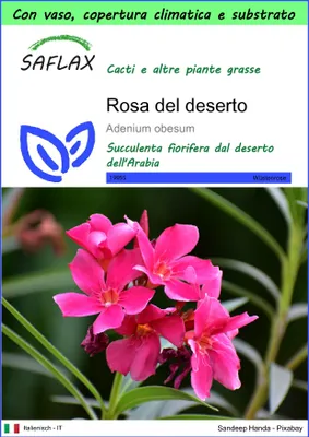 Immagine prodotto di SAFLAX Garden to go - Rosa del deserto - 8 semi - Adenium